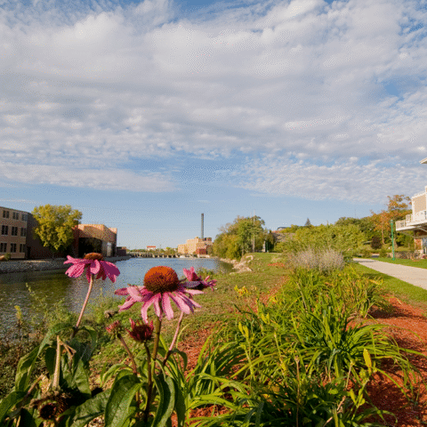 Beloit WI