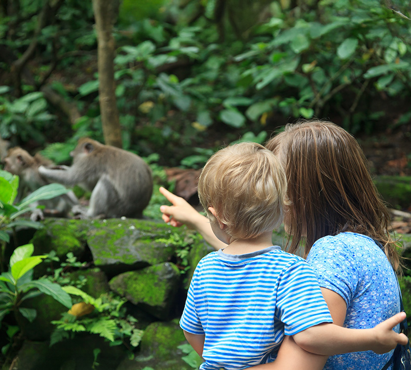 5 Sensory-Friendly Spots in and Around Roxbury, Massachusetts 